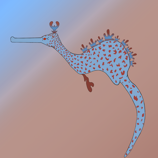 An image of  Seadragon 64