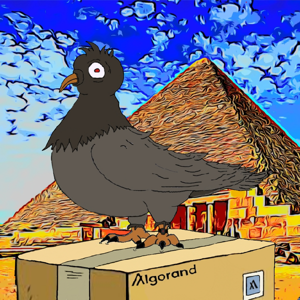 An image of GhettopigeonsNFT#15 barry