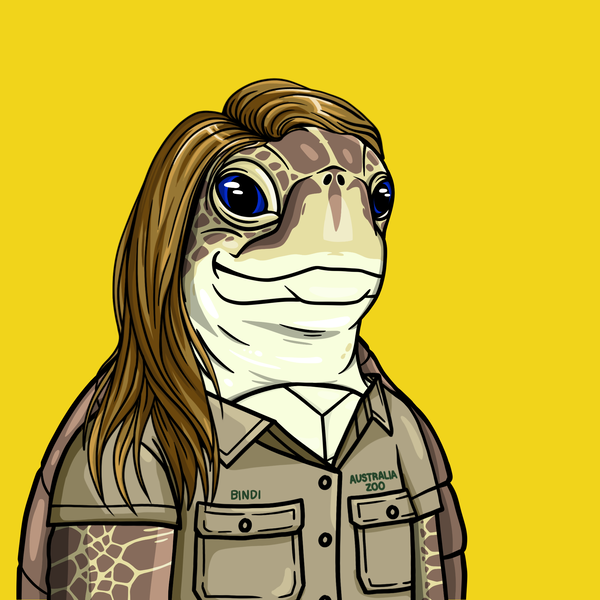 An image of Wildlife Warrior Turtle #3