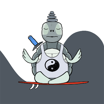 Zen Turtle 0044