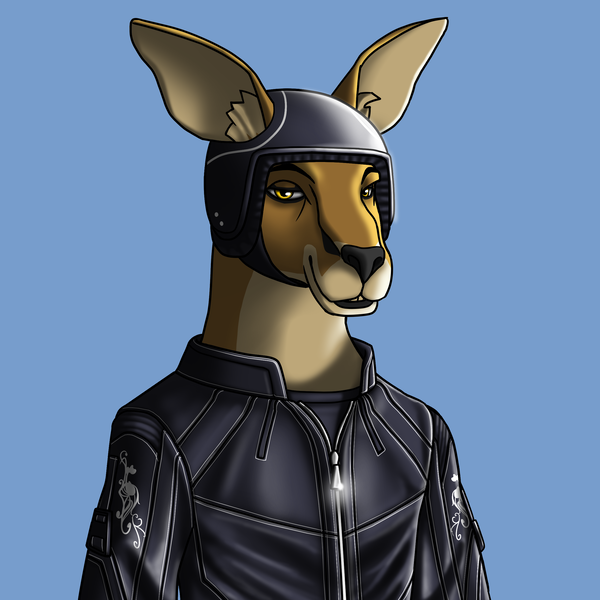 An image of AlgoKangaroo #22