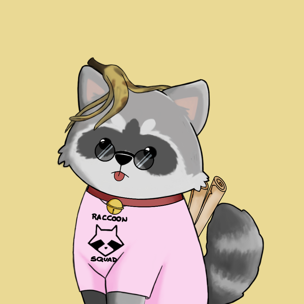 Raccoon #32 NFT on Algorand