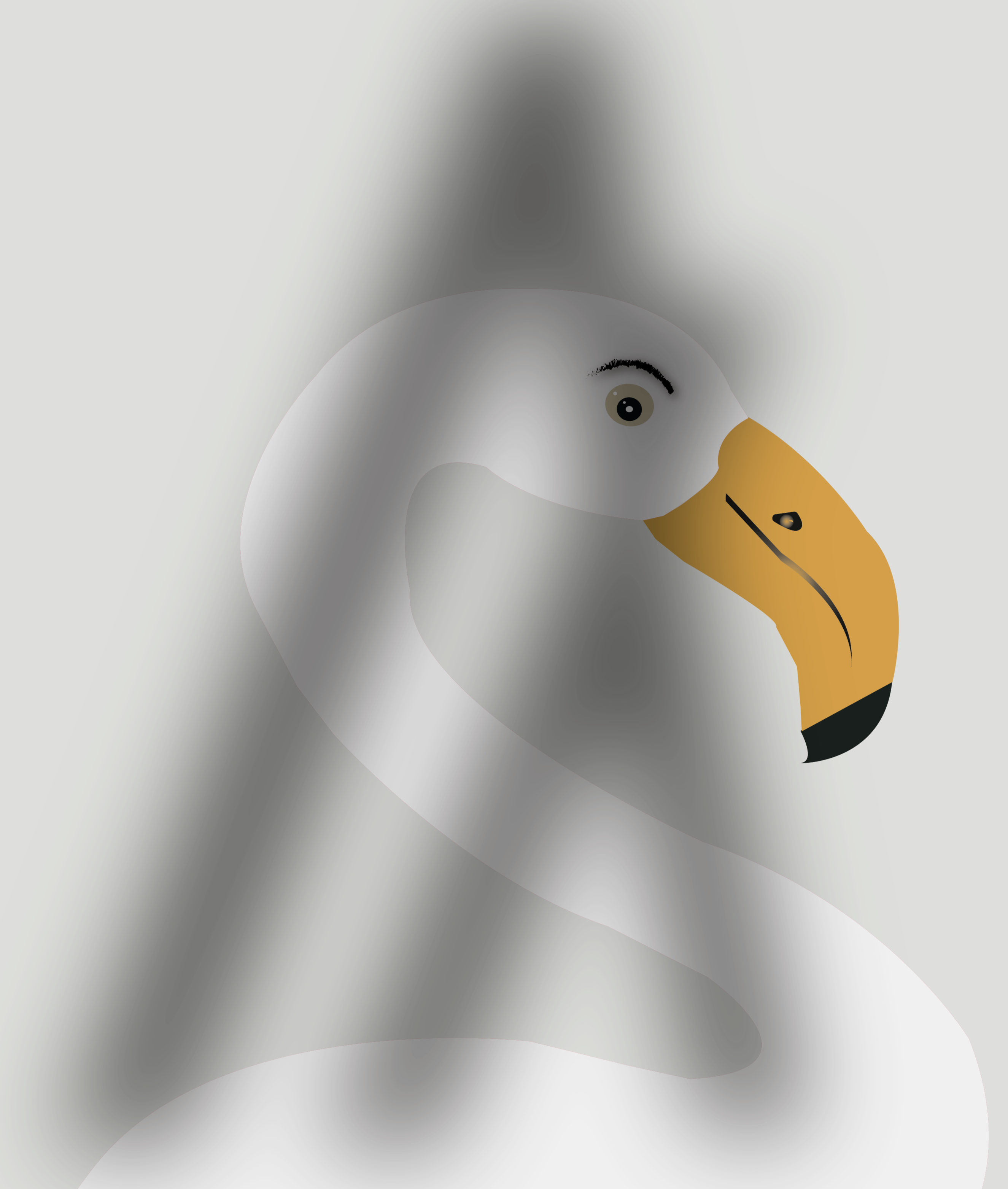 ALGO_FLAMINGO#31 NFT on Algorand