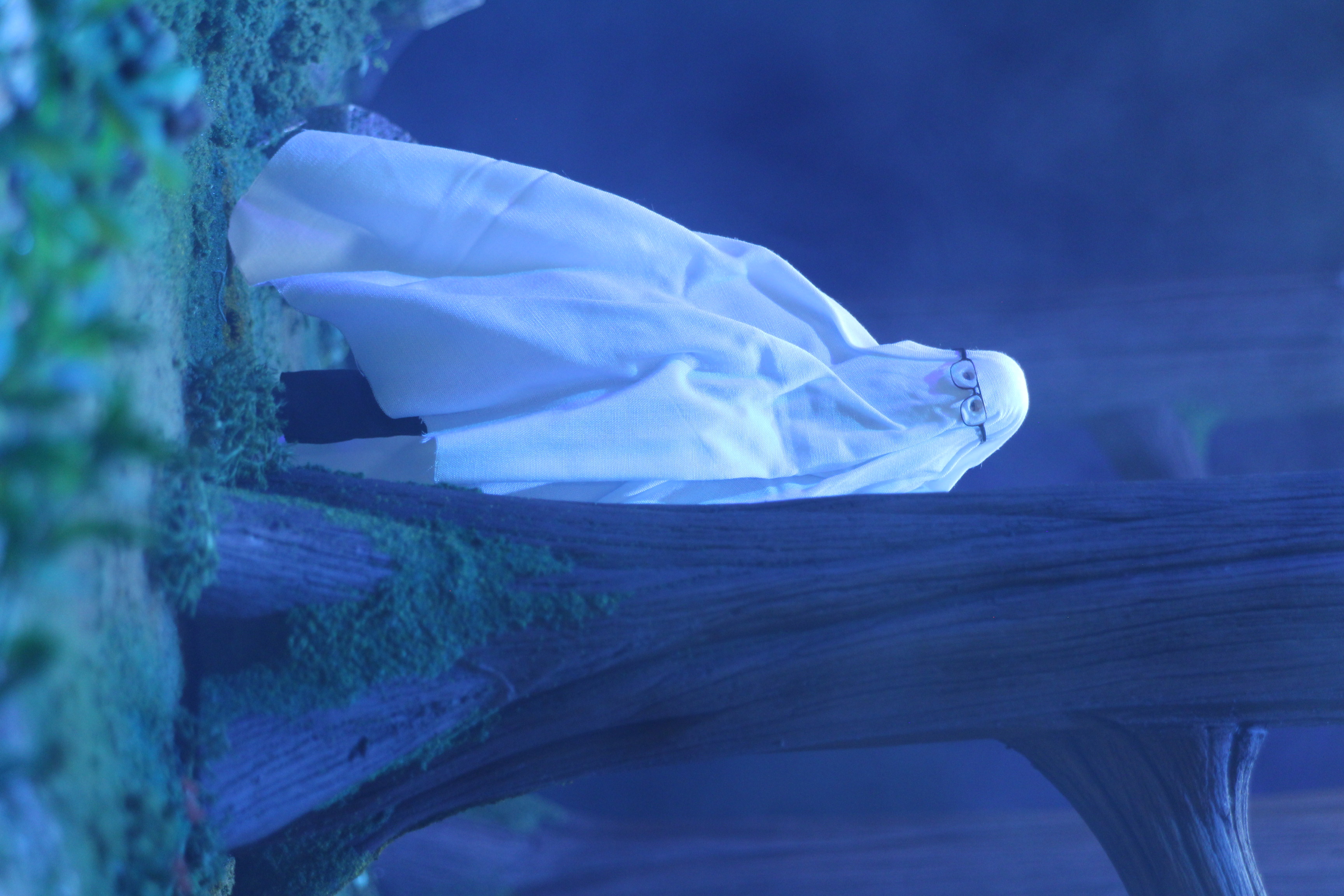 Ghost in the woods NFT on Algorand