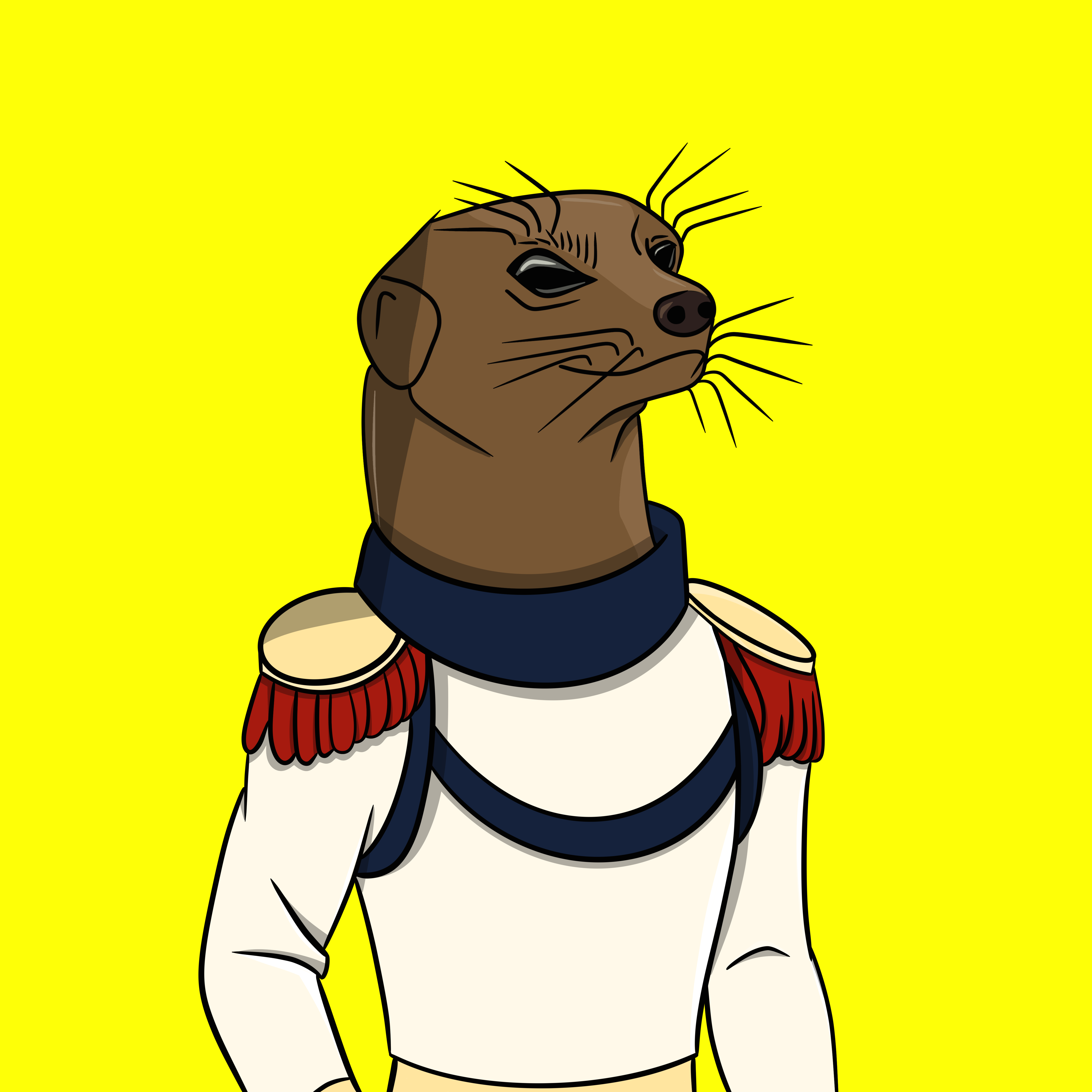 Meerkat #049 NFT on Algorand