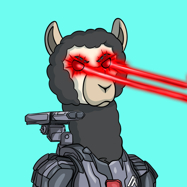 An image of ironllama#7