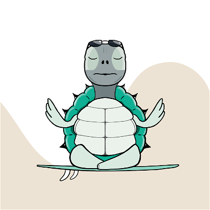 Zen Turtle 0154