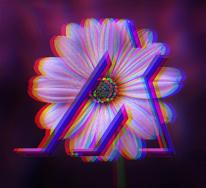 FlowerBurst