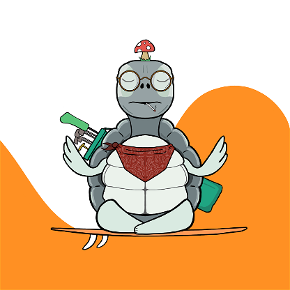 Zen Turtle 0156