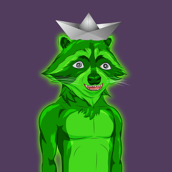 An image of AlgoRaccoon #24