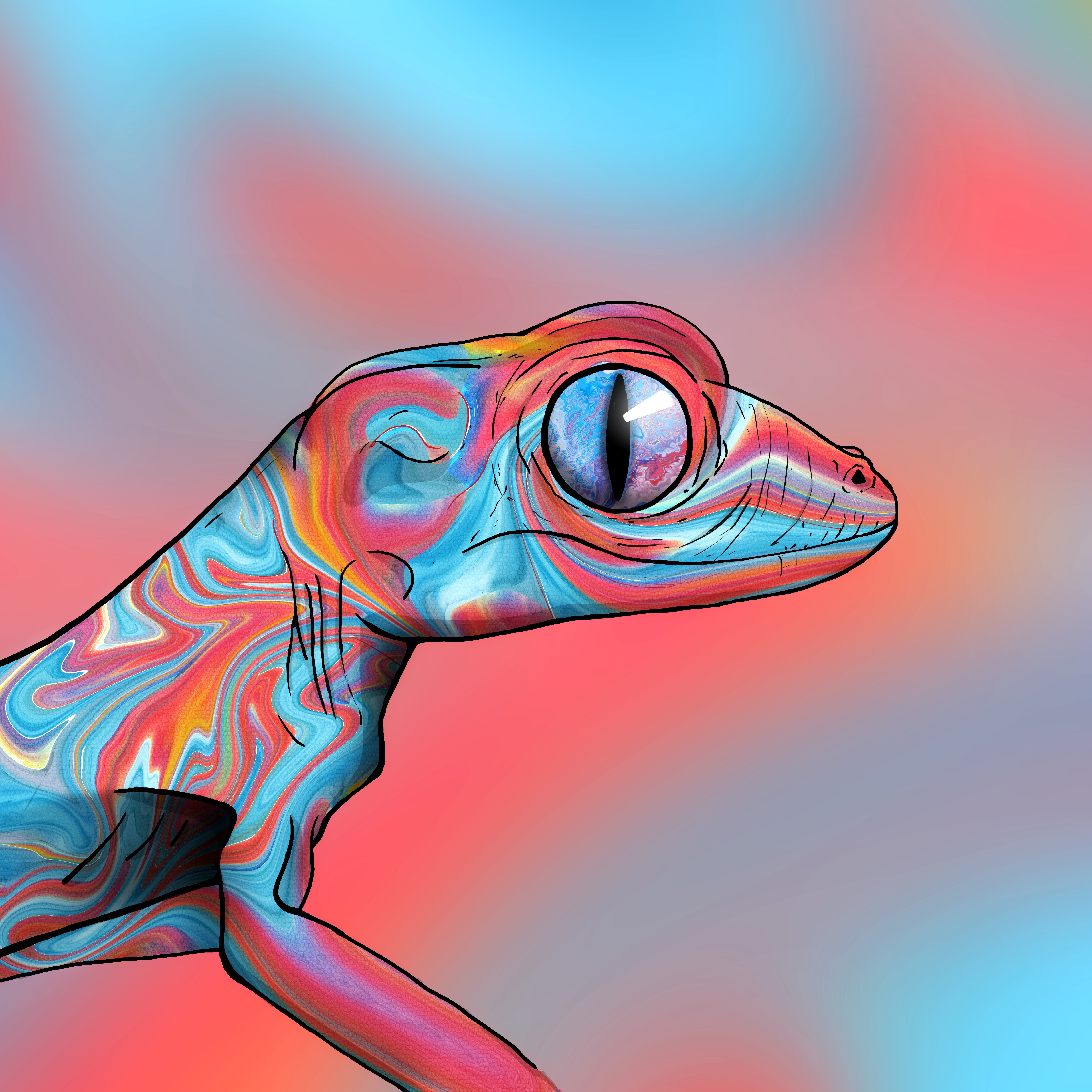 Geko 0281 NFT on Algorand