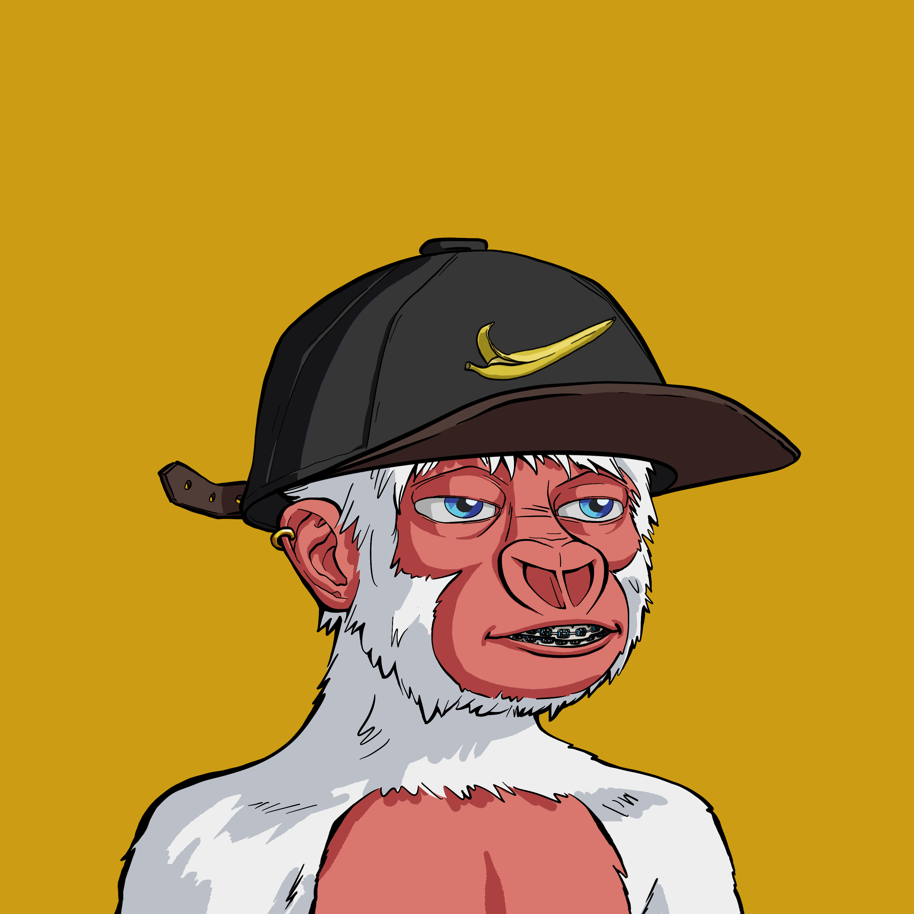 Haramboi #1817 NFT on Algorand