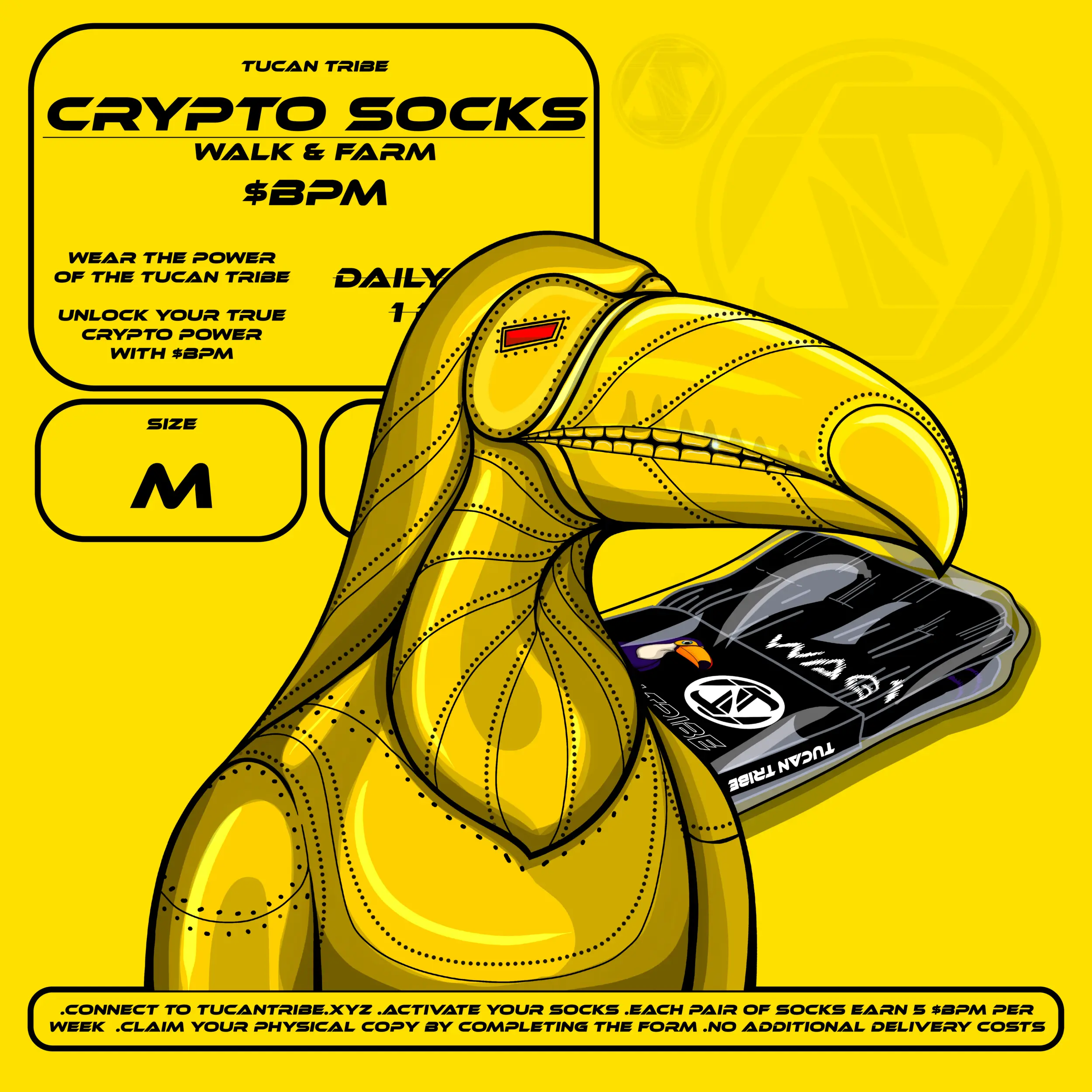 Tucan Tribe Crypto Socks #67 NFT on Algorand