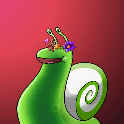 snail 0228