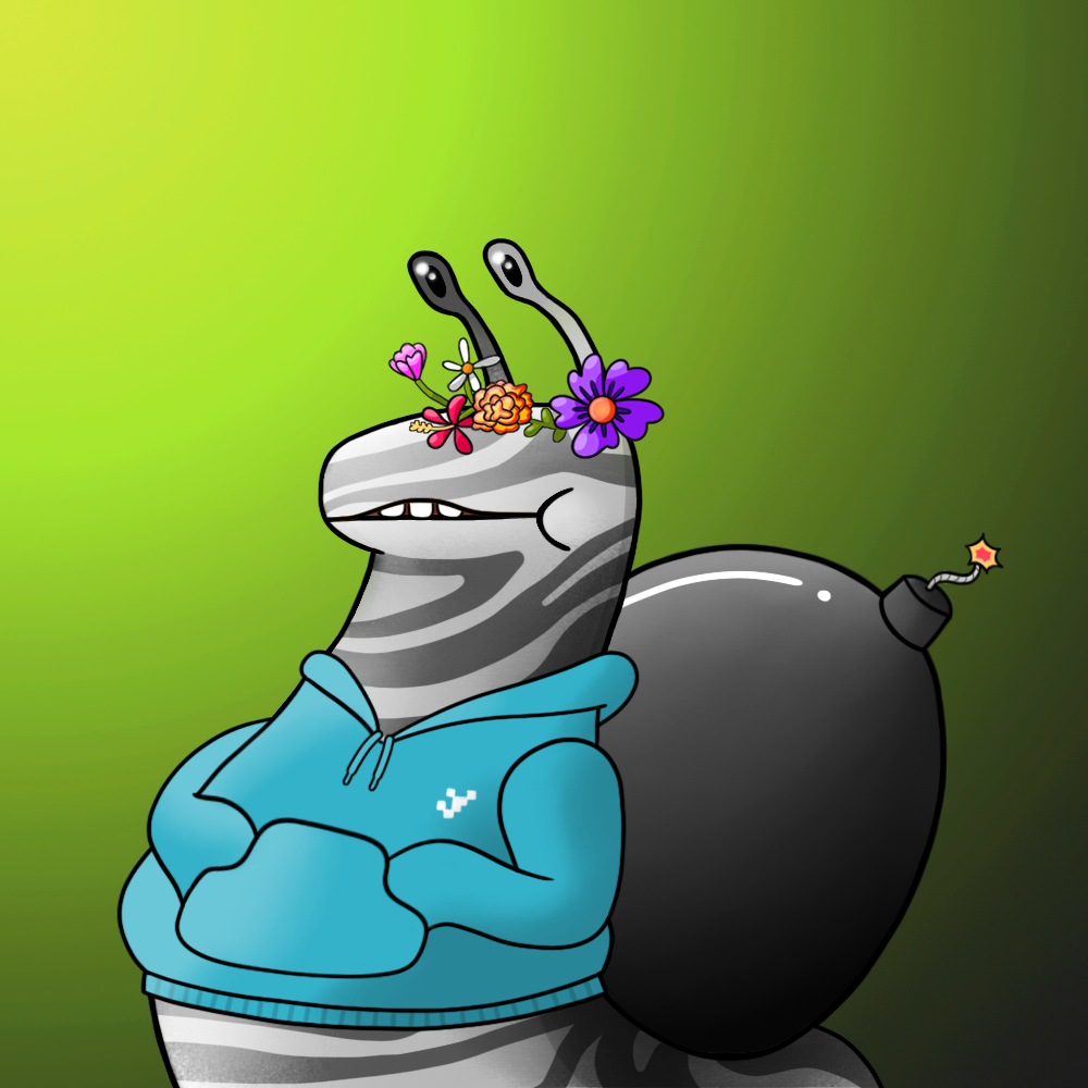 snail 0805 NFT on Algorand