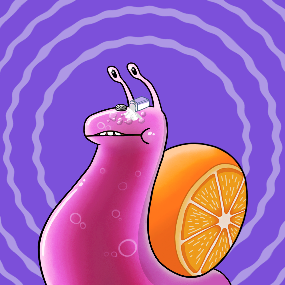 snail 1733 NFT on Algorand