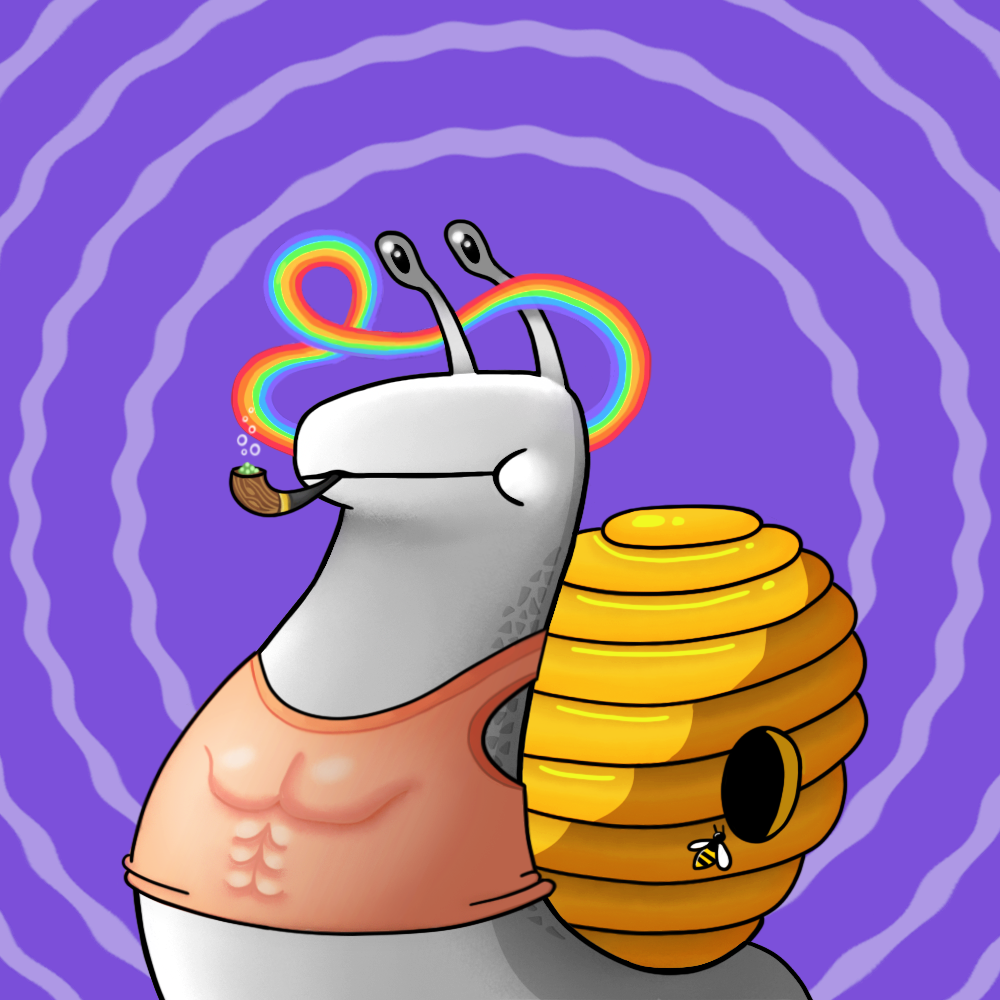 snail 2311 NFT on Algorand