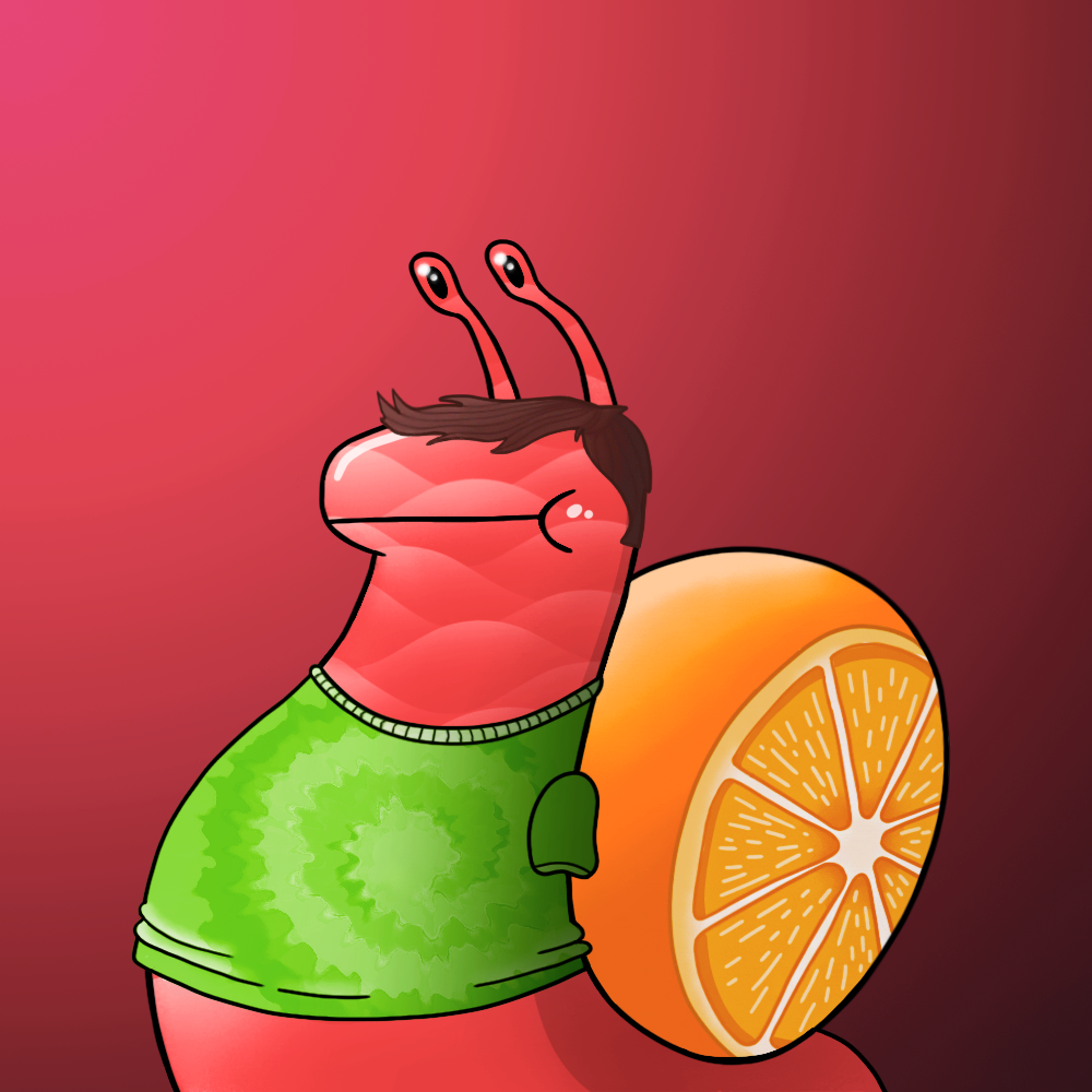 snail 2675 NFT on Algorand