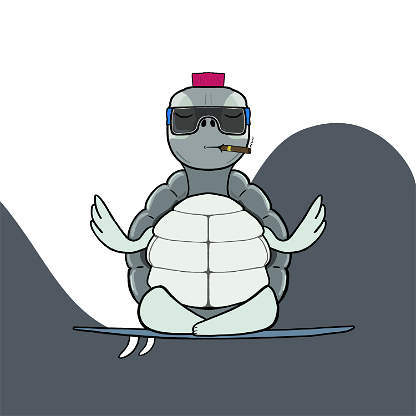 Zen Turtle 0160