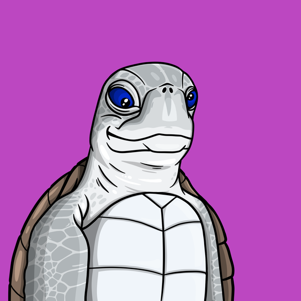 An image of Wildlife Warrior Turtle #14