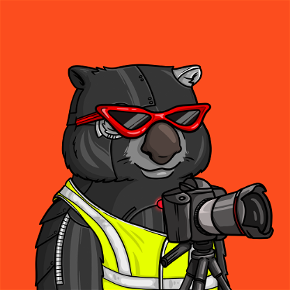 Wildlife Warrior Wombat #539