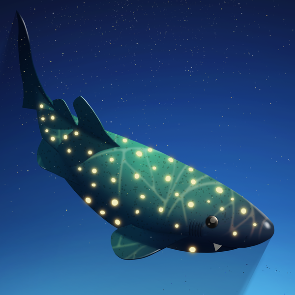 Image of AOShark 033