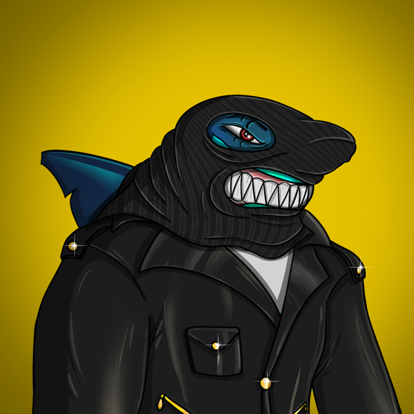 Image of AlgoShark #773