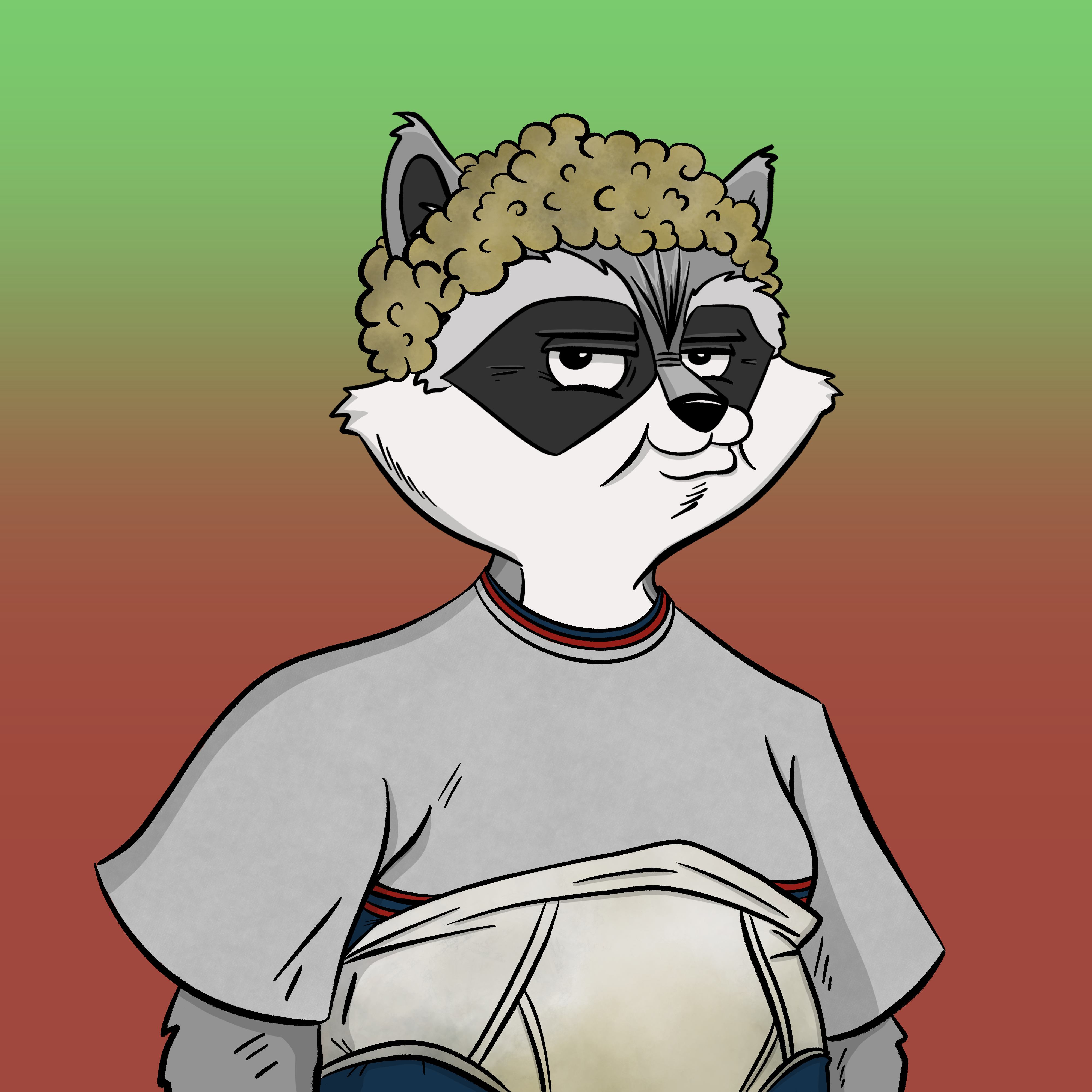 Raccoon #3 Terman NFT on Algorand