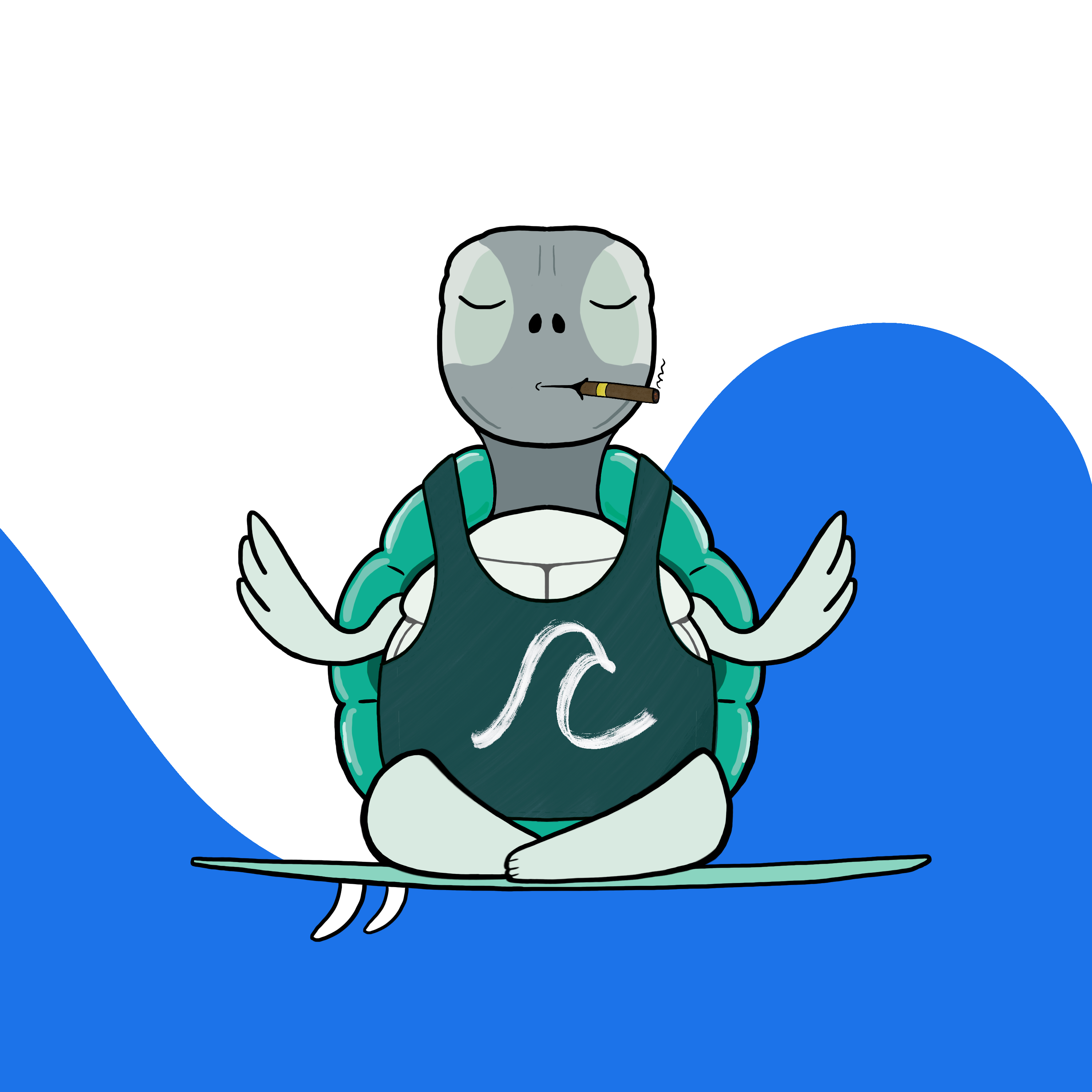 Zen Turtle 0074 NFT on Algorand