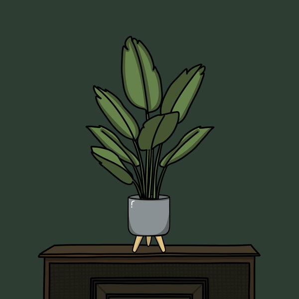 An image of Algo House Plant #0007