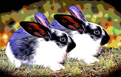 Twin Rabbit