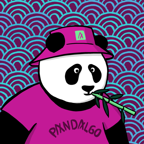 An image of Pandalgo #27