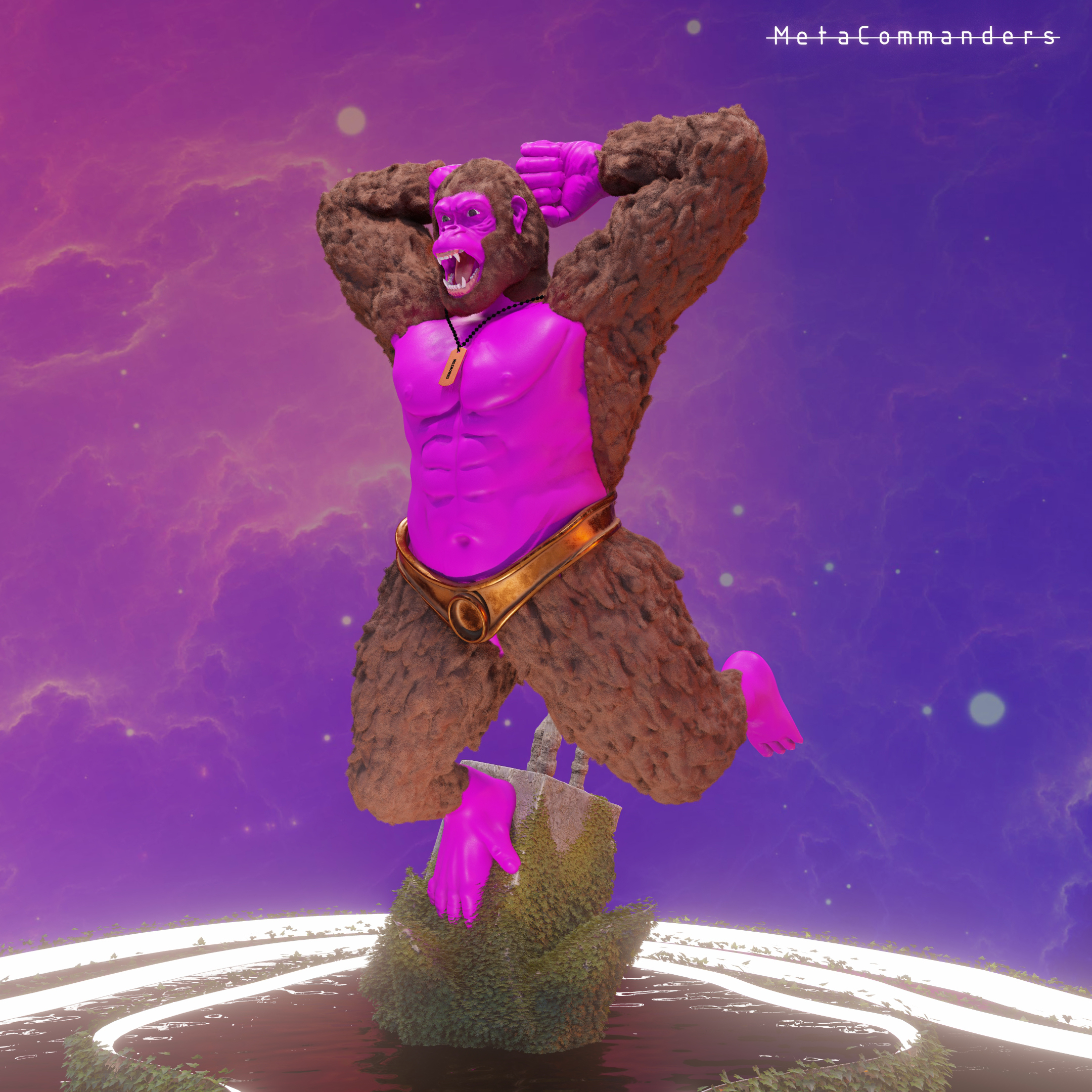 MetaCommander#22 NFT on Algorand