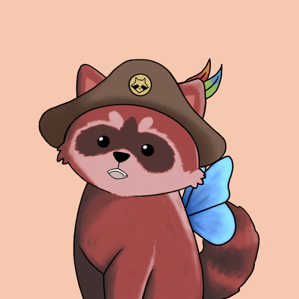 Raccoon #262 NFT on Algorand