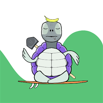 Zen Turtle 0129