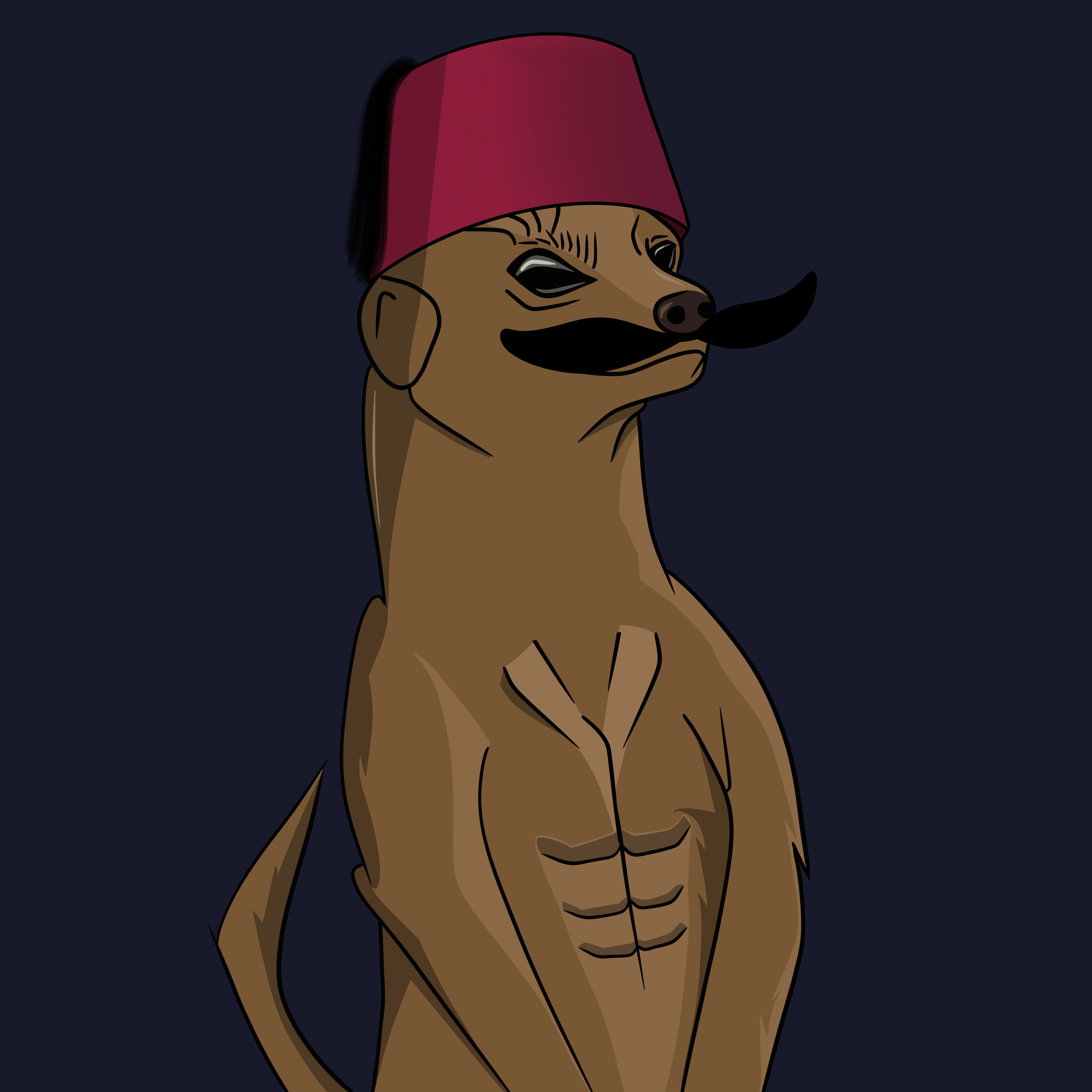 Meerkat #009 NFT on Algorand