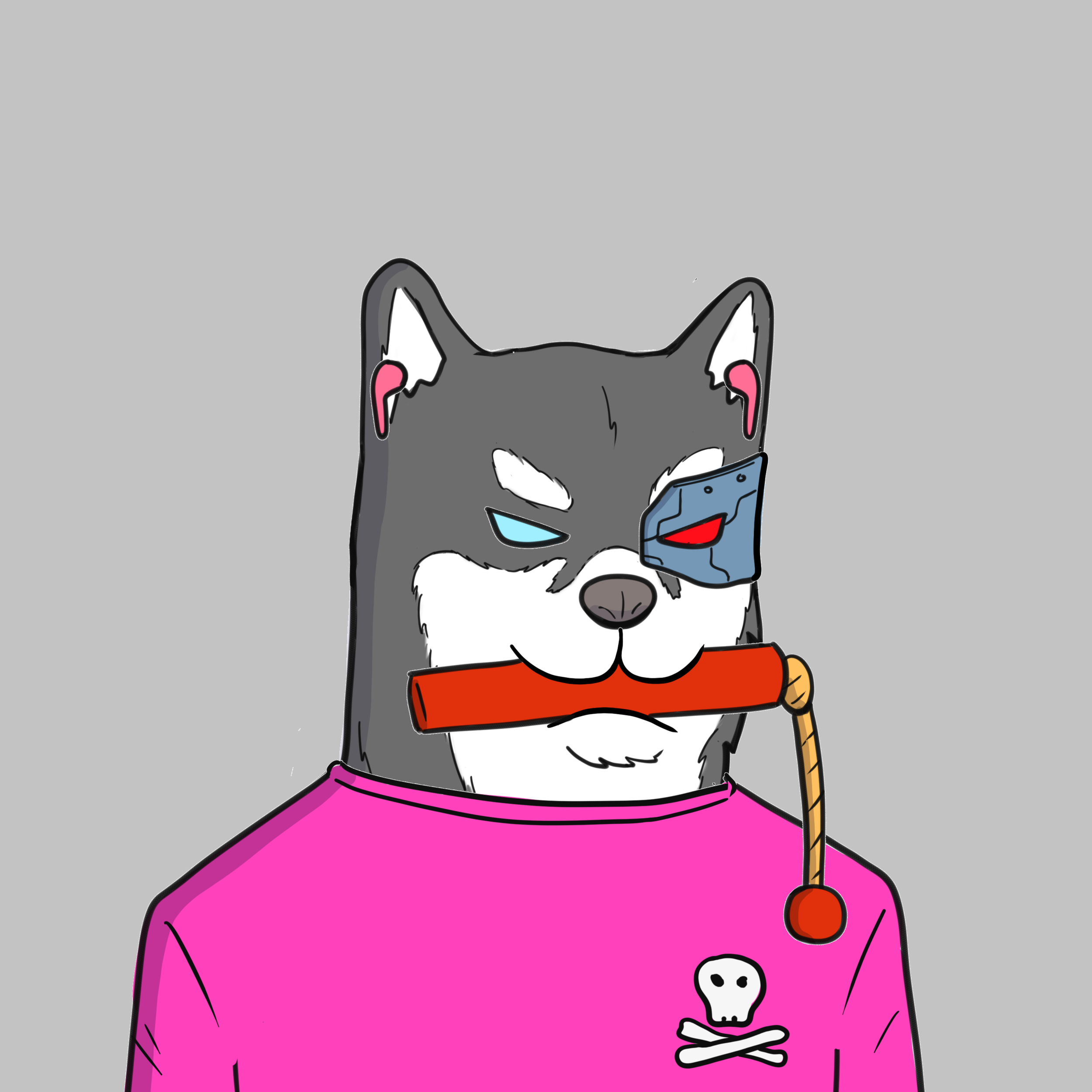 ALGORIAN DOGS #120 NFT on Algorand