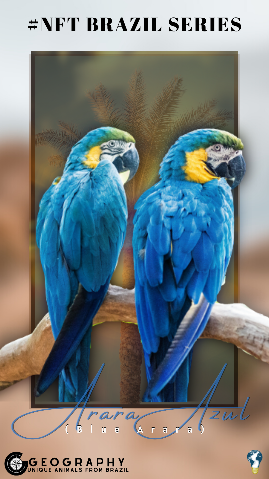 GEO #BRAZIL - BLUE ARARA NFT on Algorand