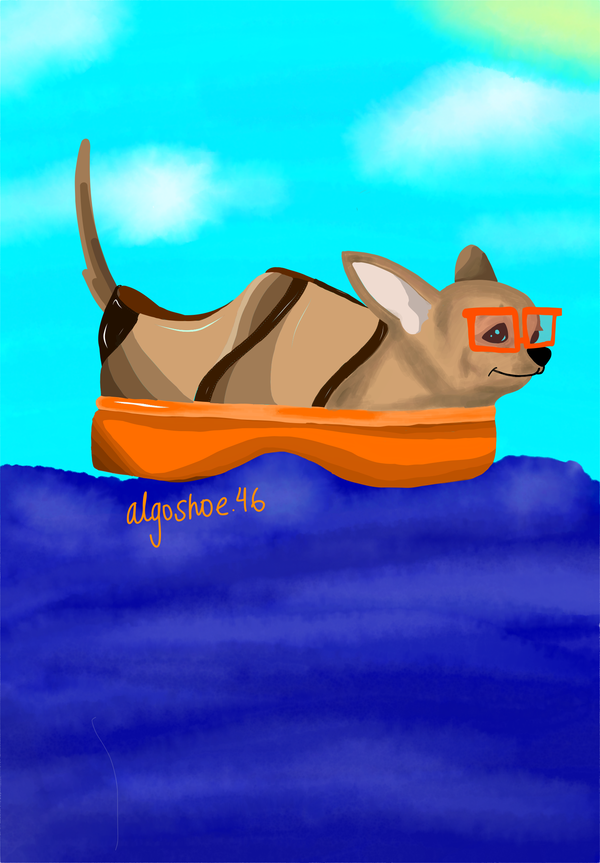 An image of AlgoShoe46 Floating Chewie