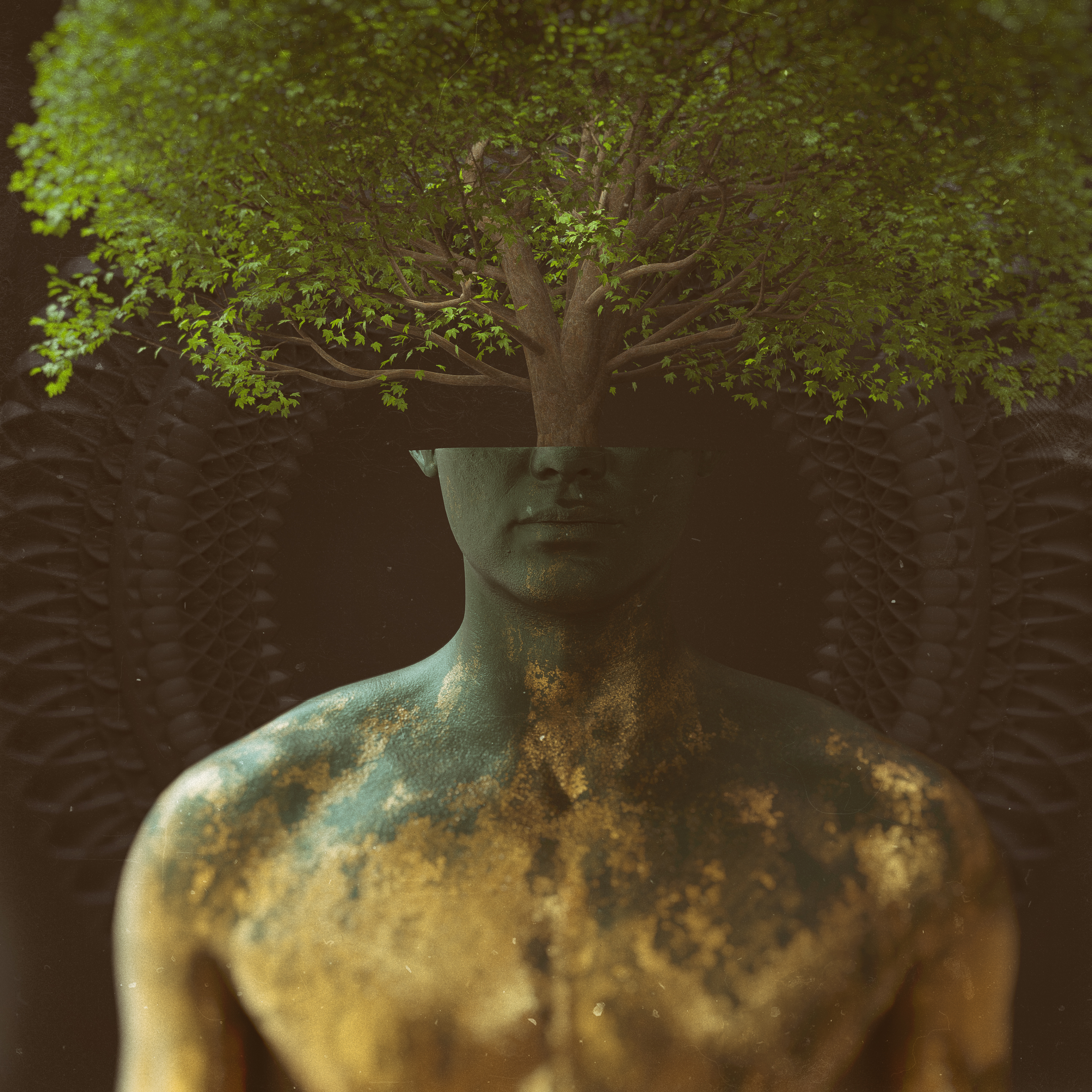 • Growth #2 - Yourself • NFT on Algorand