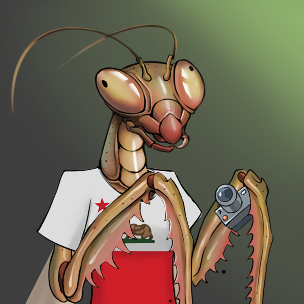 Mantis #851 NFT on Algorand