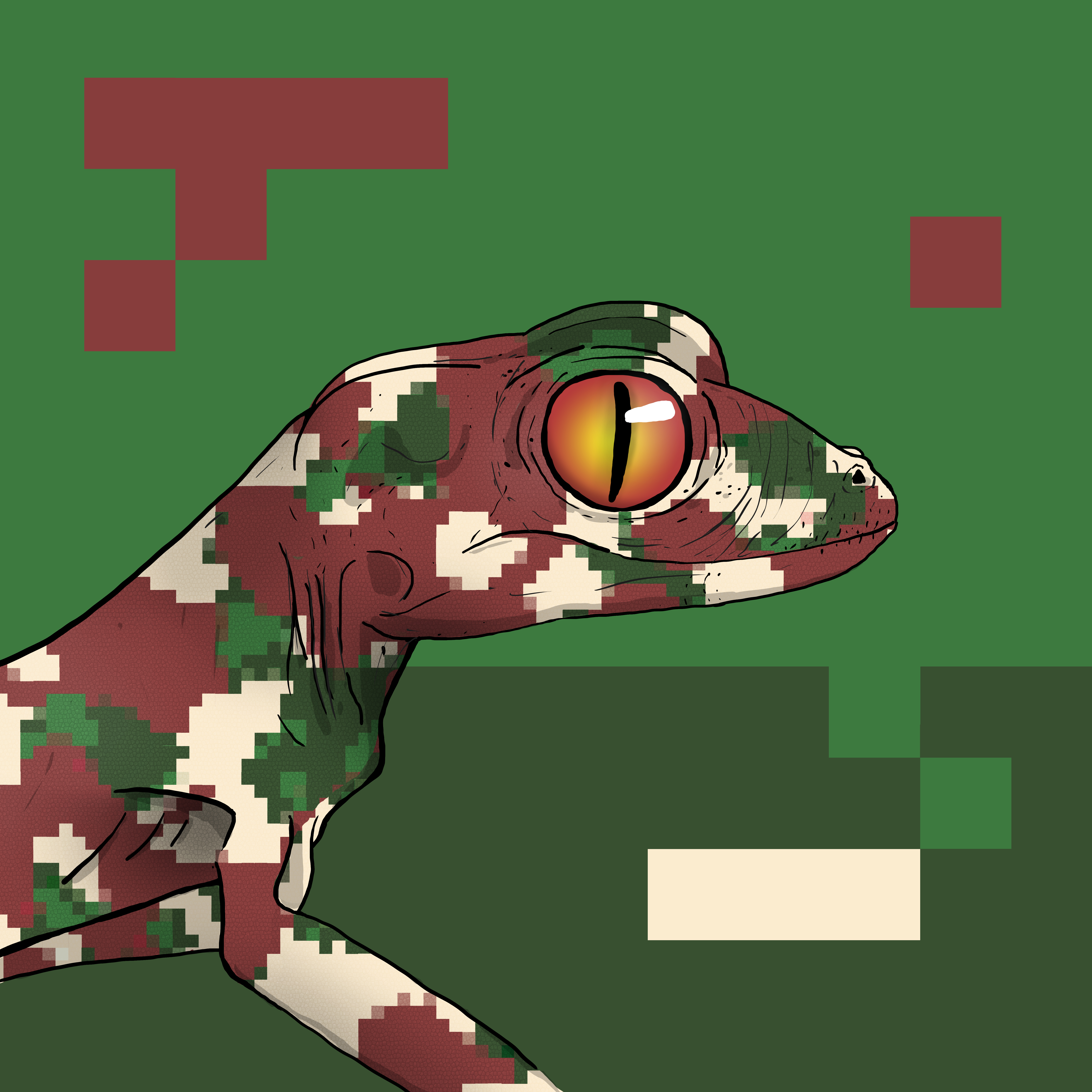 Geko 0129 NFT on Algorand