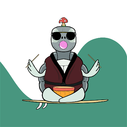Zen Turtle 0174