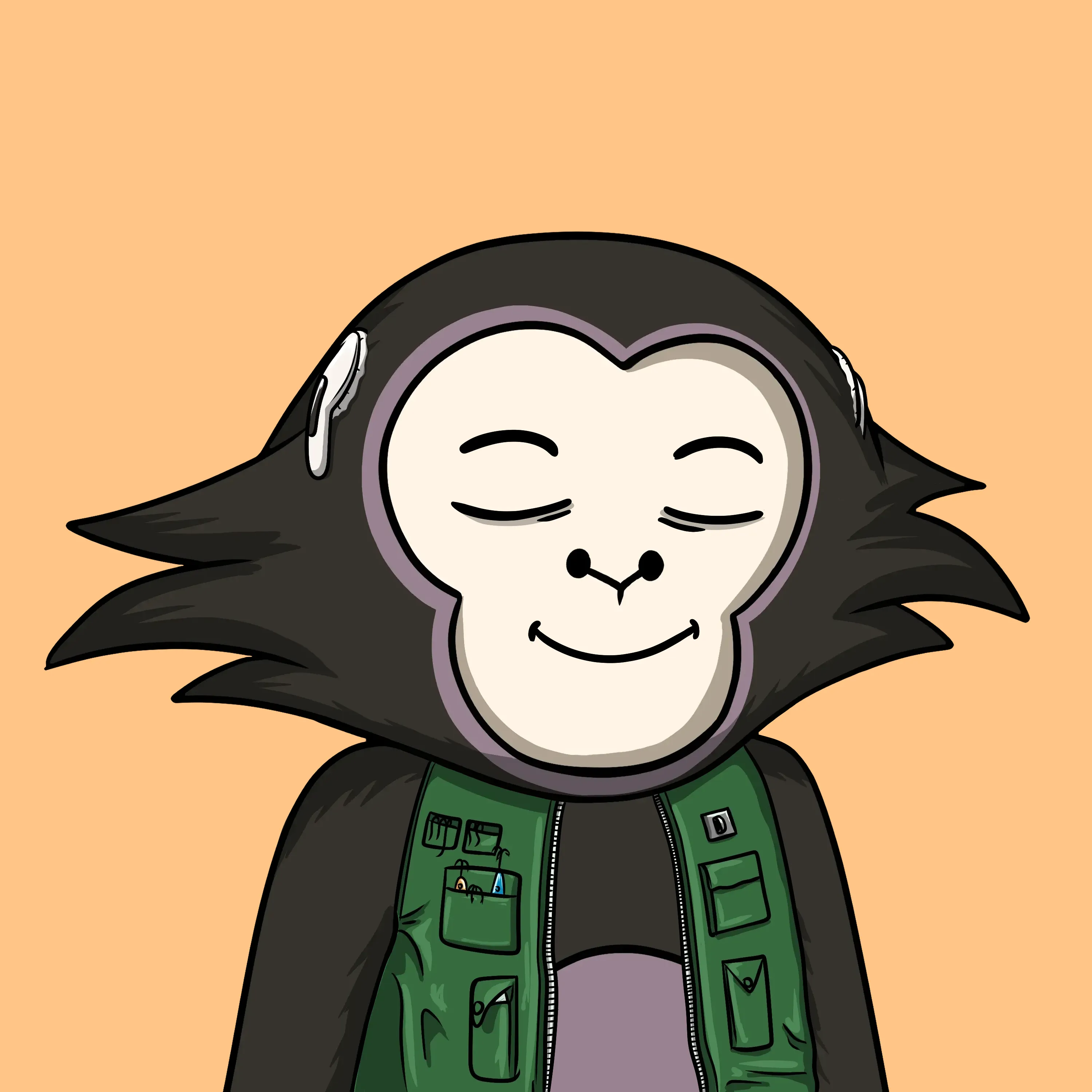 WOOP #231 NFT on Algorand