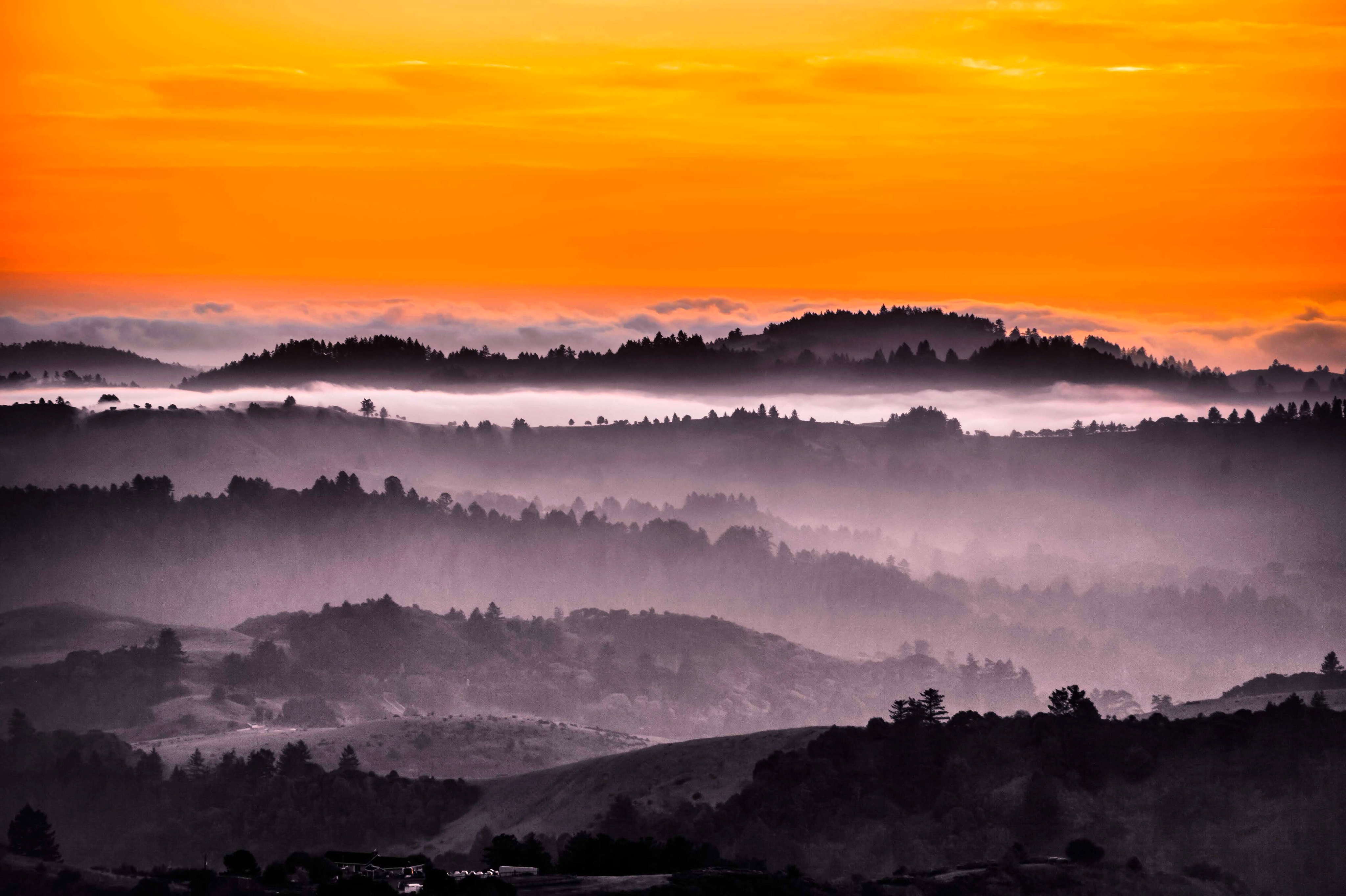 Gifted Photography Nature #2 NFT on Algorand