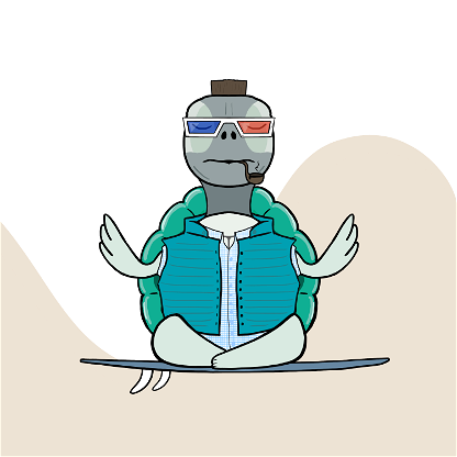 Zen Turtle 0092