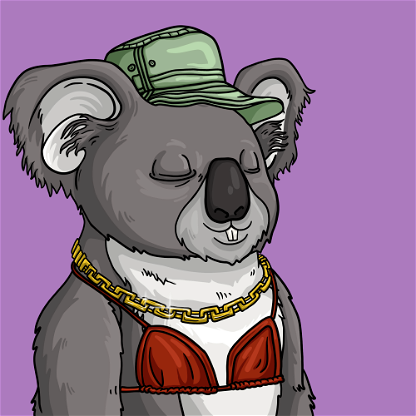 Wildlife Warrior Koala #920