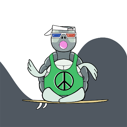 Zen Turtle 0080