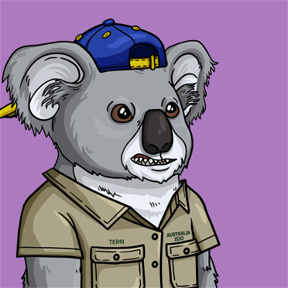 Wildlife Warrior Koala #975
