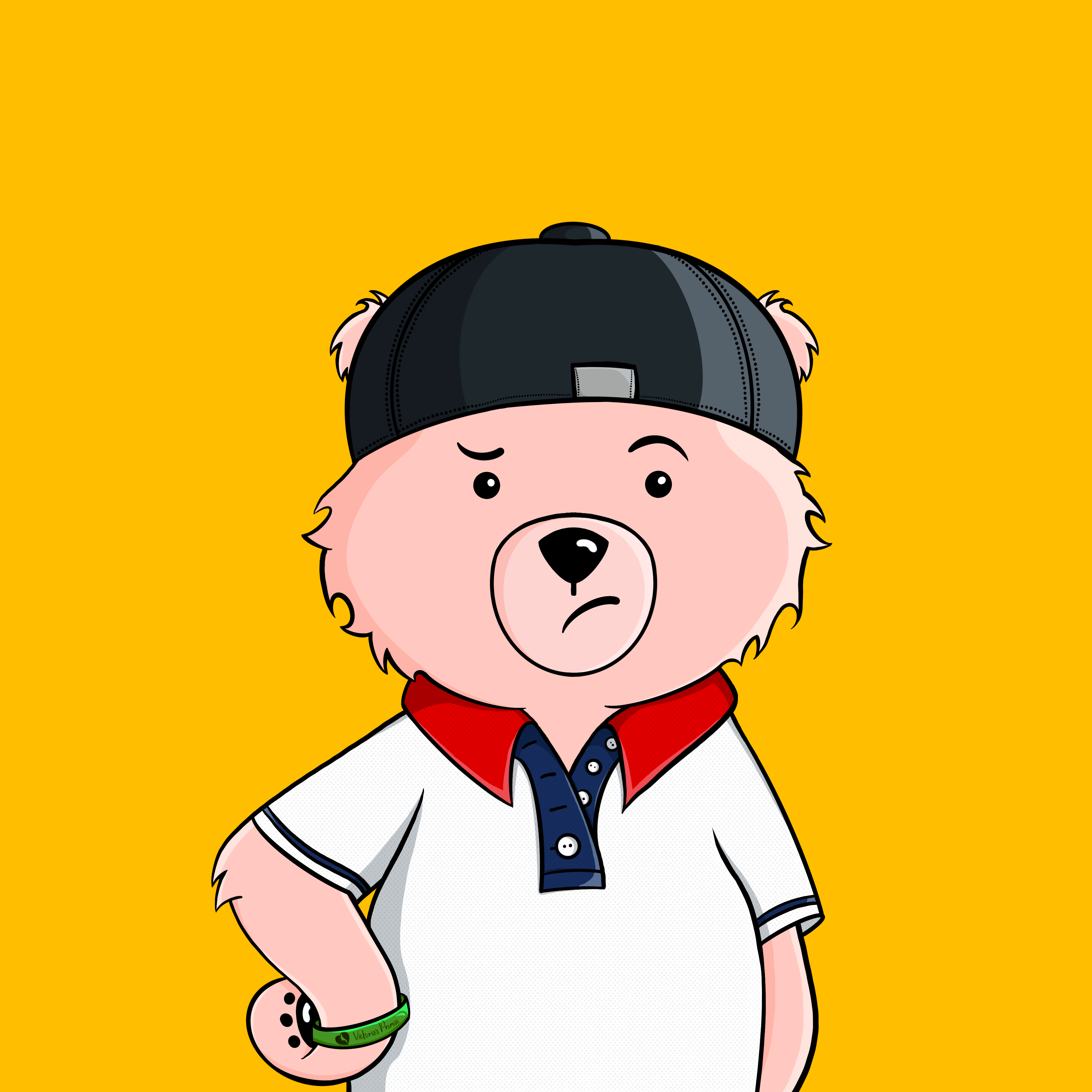 Promise Bears #3454 NFT on Algorand